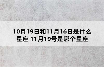 10月19日和11月16日是什么星座 11月19号是哪个星座